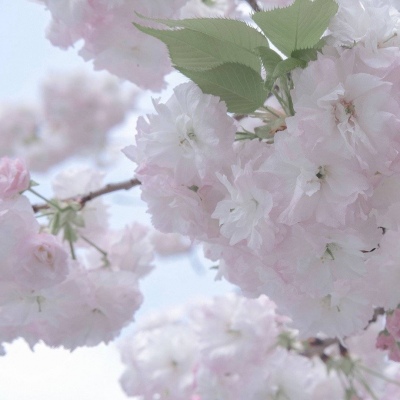 兽设原创构思技巧Furry群